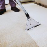 Exploring the Benefits of Professional Carpet Cleaning Services for Your Home