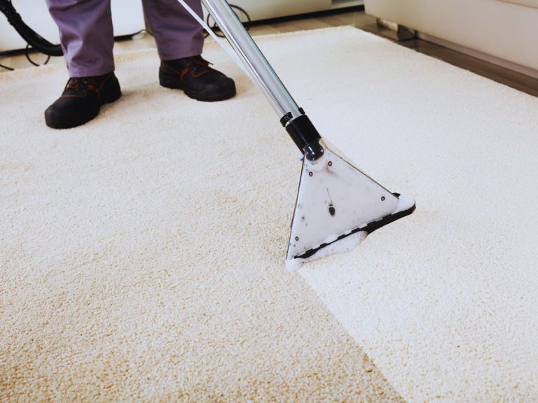 Exploring the Benefits of Professional Carpet Cleaning Services for Your Home